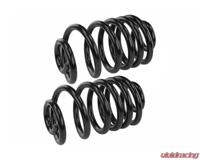 Mevotech Supreme Coil Spring Set Rear - SMS603V