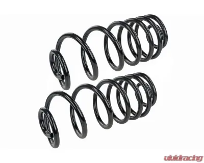 Mevotech Supreme Coil Spring Set Rear - SMS611V