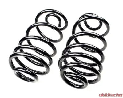 Mevotech Supreme Coil Spring Set Rear - SMS625V