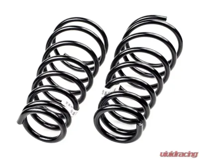 Mevotech Supreme Coil Spring Set Rear - SMS81111