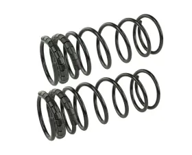 Mevotech Supreme Coil Spring Set Ford Escort Rear 1997-1999