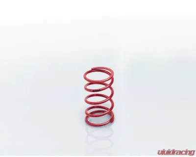 Eibach 1.63" I.D ERS Linear Main Single Spring 0350.163.0110 - 0350.163.0110