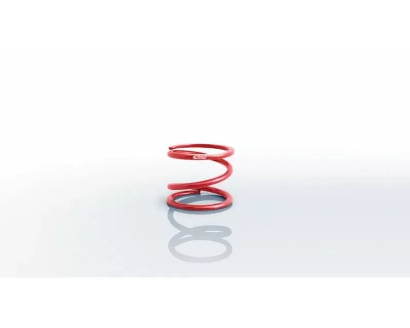 Eibach 6th 5.00" O.D. ESS Speedway Rear Single Spring 0400.500.0500 - 0400.500.0500