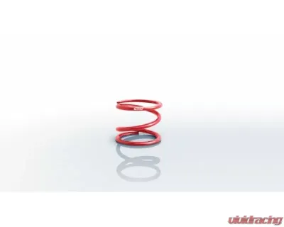 Eibach 6th 5.00" O.D. ESS Speedway Rear Single Spring 0400.500.0500 - 0400.500.0500