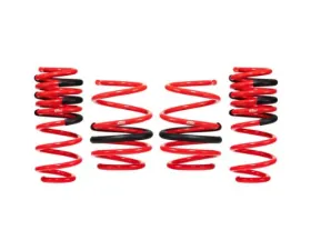 Eibach Performance Springs Acura Integra Type S 2023-2024