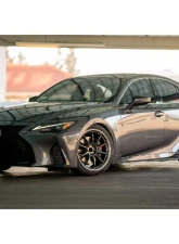 Eibach Anti-Roll Kit Rear Lexus IS350 F-Sport 2014-2024                                     - E40-59-004-01-01 - Image 2