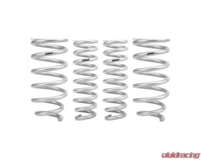 Eibach Stage 1 Pro-Truck-Lift - E80-82-103-01-22