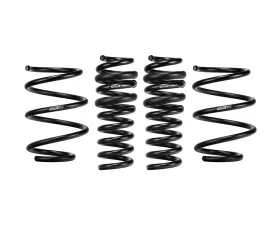 Eibach Springs Special Edition Pro-Kit Cadillac CT5-V Blackwing 6.2L Supercharged RWD 2022+