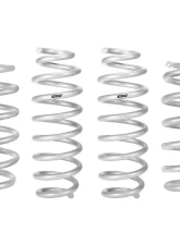 Eibach Pro-Lift-Kit Spring Kit (Set of 4) Tesla Model Y AWD 2020-2023                                     - E30-87-002-01-22 - Image 2