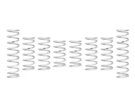 Eibach Stage 2 Pro-UTV Spring Kit (Set of 8 Springs) Polaris RZR Turbo R Sport, Premium | Walker Evans 2022-2025