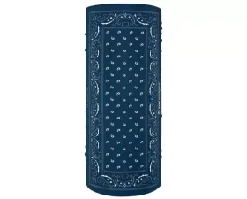 Zan Motley Tube Polyester Paisley