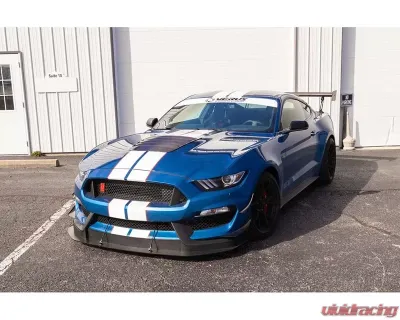 Verus Engineering Carbon Hood Louver Kit Ford GT350 - A0282A