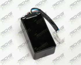 Ricks CDI Box Hot Shot Series Kawasaki KLX110 2002-2009