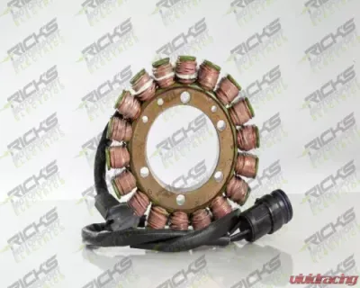 Ricks Stator OEM Style Can-Am DS650 2000-2007 - 21-060