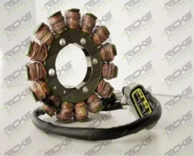 Ricks Stator OEM Style Kawasaki ZX1000 Ninja ZX10R 2008-2010