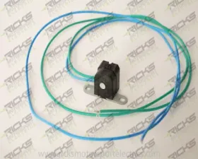 Ricks Pulsar/Source Coil 200 ohm Suzuki 1986-2016