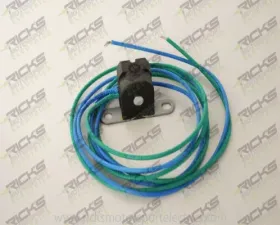 Ricks Trigger Coil 200 ohm Arctic Cat | Polaris | Suzuki 2002-2013
