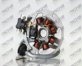 Ricks Stator OEM Style ETON | Polaris 2001-2006