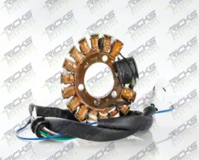 Ricks Stator OEM Style Yamaha TT-R225 | TT225 | XT225 1999-2007