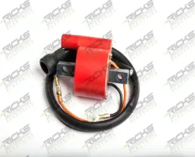 Ricks Ignition Coil Yamaha YFS200 Blaster 1998-2006
