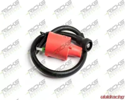 Ricks Ignition Coil Honda TRX400FW | TRX450 1995-2004 - 23-602