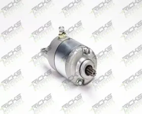 Ricks Starter Motor Kawasaki BN125 Eliminator 2001-2009