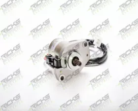 Ricks Starter Motor ETON 50 | Polaris 50 2001-2006