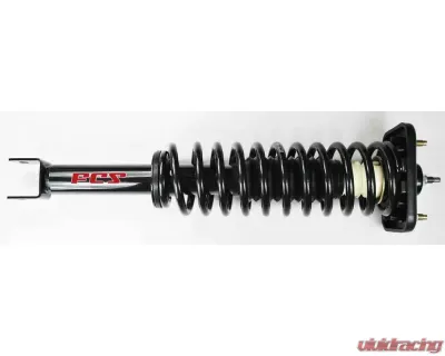 FCS Auto Suspension Strut and Coil Spring Assembly Rear - 1336336