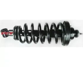 FCS Auto Suspension Strut and Coil Spring Assembly Rear
