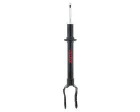 FCS Auto Suspension Strut Assembly Front