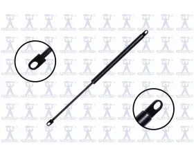 FCS Auto Tailgate Lift Support