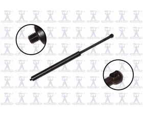 FCS Auto Trunk Lid Lift Support BMW Rear