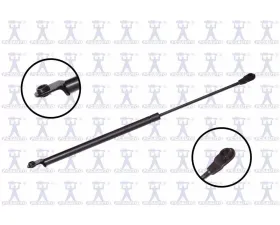 FCS Auto Door Lift Support Rear