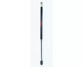 FCS Auto Back Glass Lift Support