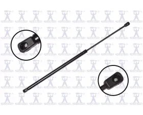 FCS Auto Hatch Lift Support Rear