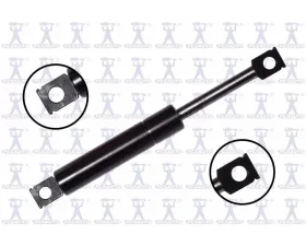 FCS Auto Trunk Lid Lift Support Lincoln Rear