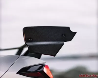 C7 Carbon Race Edition Wing Carbon Fiber Chevrolet C8 Corvette Stingray 2020-2024 - C8-3B-1