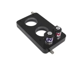 Nitrous Express 3V Nitrous Plate Conversion with Integrated Solenoids Ford Mustang 4.6L 2005-2010