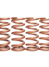 CKS Suspensions True Coilover System Lexus RC-F | GS-F 2015+                                     - KITCKS-TA-120C+SWIFT - Image 2