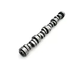 Texas Speed & Performance LS7 Stage 4.2 Camshaft for 2006-2015 Camaro & Corvette