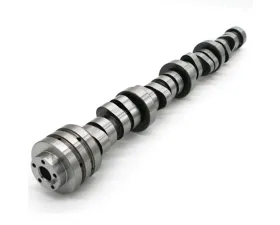 Texas Speed & Performance Stage 3 N/A Cam Kit for 2009+ Hemi 5.7L/6.4L Engines