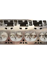 Texas Speed & Performance PRC CNC Porting Service Cathedral Port Heads Cadillac | Chevrolet | GMC 1997-2016                                     - PRC-CathedralPorting - Image 2