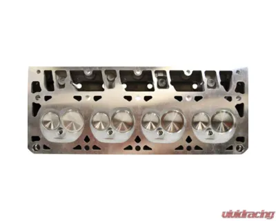 Texas Speed & Performance PRC CNC Porting Service Cathedral Port Heads Cadillac | Chevrolet | GMC 1997-2016 - PRC-CathedralPorting