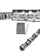 Texas Speed & Performance PRC 15-Degree 220cc As-Cast Cathedral Heads & Camshaft Package for Cadillac, Chevrolet, GMC 1996-2016                                     - PRC-PKG220AC - Image 2