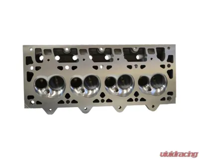 Texas Speed & Performance PRC Big Chamber As-Cast 225cc LS1 | LS2 Cathedral Heads Cadillac | Chevrolet | Pontiac 1997-2016 - PRC-SSAsCast225BC