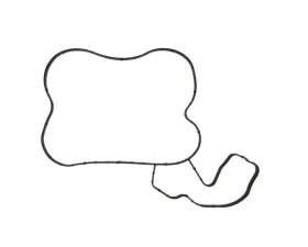 Texas Speed & Performance Hemi Truck Water Pump Gasket Dodge | Jeep 2009-2021