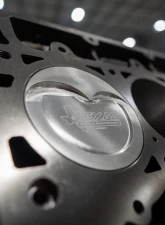 Texas Speed & Performance "The Reaper" 434ci Dart LS Next Short Block Cadillac | Chevrolet | GMC 1967-2024                                     - TSP-434SB-DART-STD - Image 2