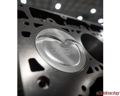 Texas Speed & Performance "The Reaper" 434ci Dart LS Next Short Block Cadillac | Chevrolet | GMC 1967-2024 - TSP-434SB-DART-STD