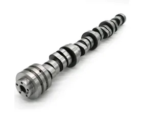 Texas Speed & Performance Hemi Stage 2 5.7L Low Lift Camshaft Chrysler | Dodge 2009-2021