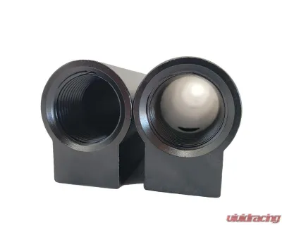 Texas Speed & Performance Titan Intake Black -10 AN Fuel Rails Cadillac | Chevrolet | GMC 1997-2018 - TSP-BK-10AN